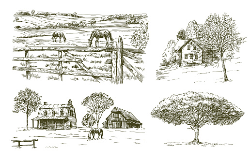 Grazing horses, rural landscape, farm, beautiful old tree.