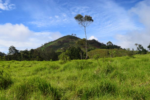 istock Mount Artapela landscape 1464781440