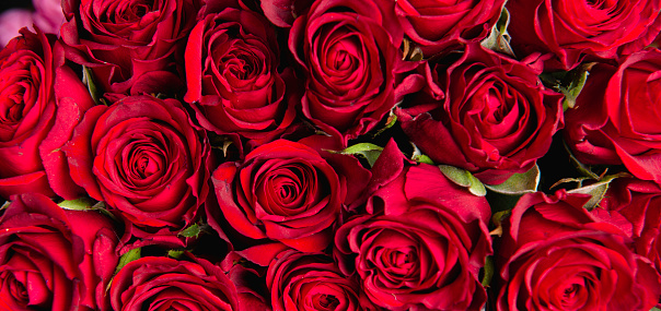 A close-up of a large bouquet of red roses.
