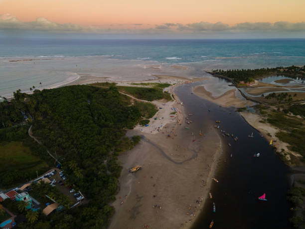 istock Maracaipe Beach, Pernambuco, Brazil 1464788723