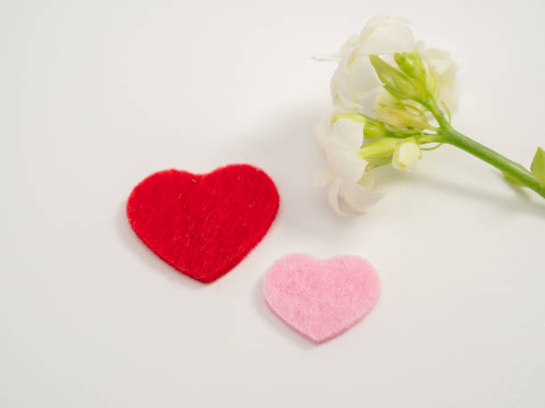 istock Hearts and a white flower on a white background. 1464788860