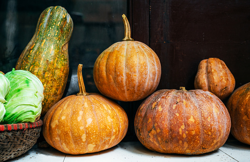 Different variety of green and orange pumpkins on table in autumn atmosphere ambiance halloween