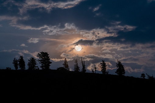 Moon rises behind clouds with silhouetted trees on an alpine ridge. Taken from Olmstead Point in Yosemite National Park.