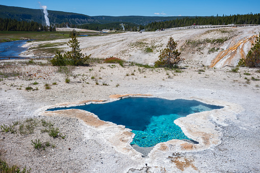 The Upper Geyser Basin, which is the location of Old Faithful Geyser, has the largest concentration of geysers in the world, including many of the world's largest.