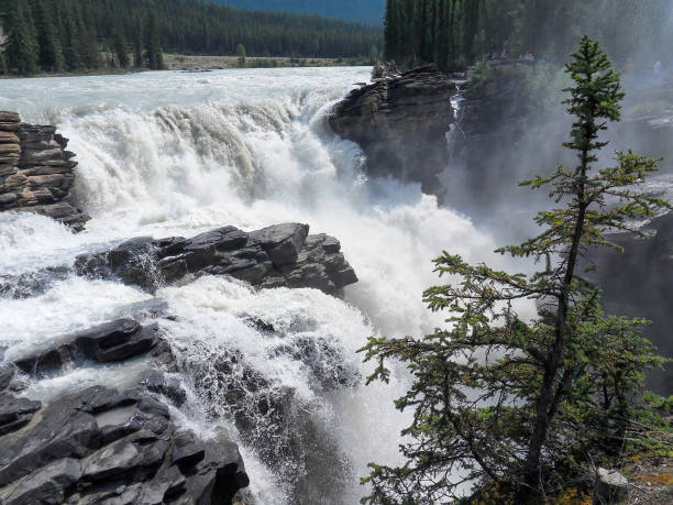 istock Jasper National Park Athabasca Falls In Canada. Landscape reserve natural cascade. 1464794825