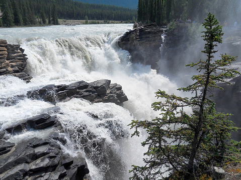 Natural Canada landscape, close-up of Athabasca Falls. Tourist site in the Canadian forest.