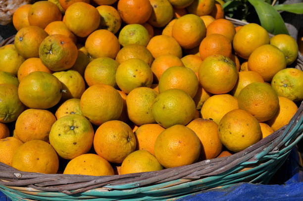istock Fresh orange fruits 1464794932