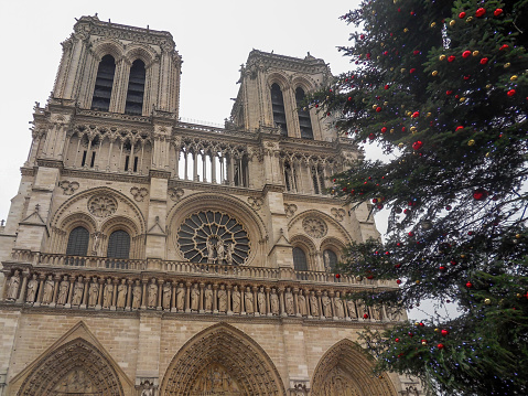 Architectural photograph of the main entrance of the Notre Dame cathedral in Paris, France.