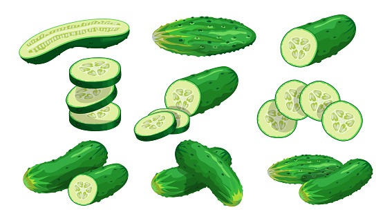Cucumbers set. Whole, halved, sliced cucumbers. Fresh green cucumbers. Organic vegetables. Best for menu, market designs. Vector illustrations.