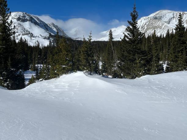 cena de montanhas cobertas de neve - 6184 - fotografias e filmes do acervo