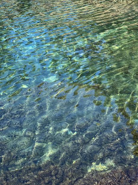 istock Clear sea water surface, turquoise watercolor. 1464798172