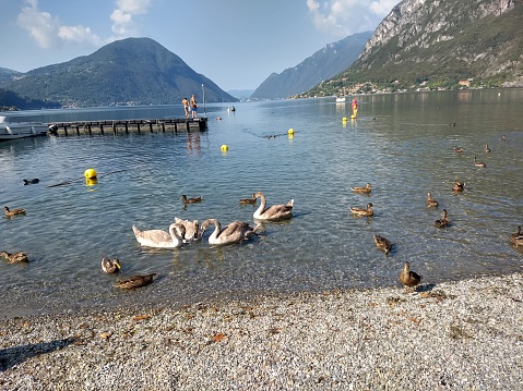 Lago de Lugano em Porlezza
