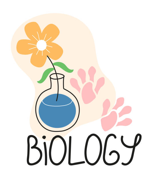 ilustrações de stock, clip art, desenhos animados e ícones de biology lesson icon vector in doodle style. secondary school icons. back to school stickers. - secondary action