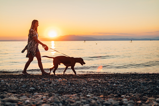 Lovely woman enjoying leisure activities at sea, walking her dog on the beach during sunset