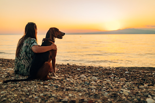 Back view of a woman sitting on the beach hugging her tricolor dog as they watch the sunset