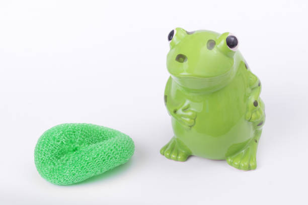 Asian girl playing with a little frog.