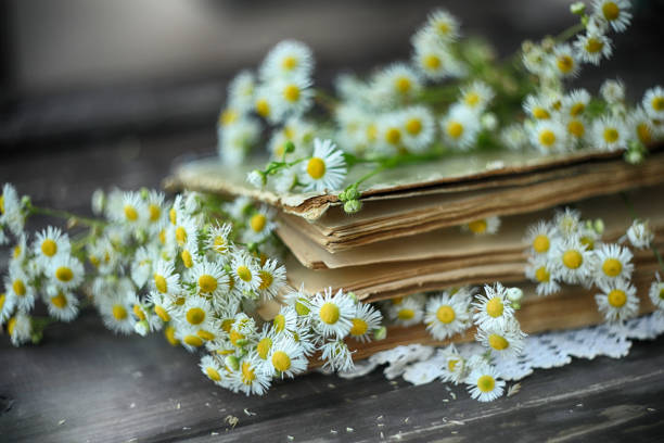 Still life with old book and flowers