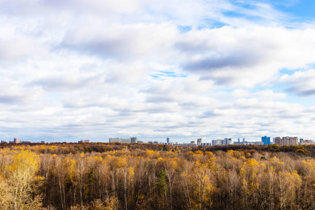 cloudy sky over forest and city on horizon on sunny autumn day