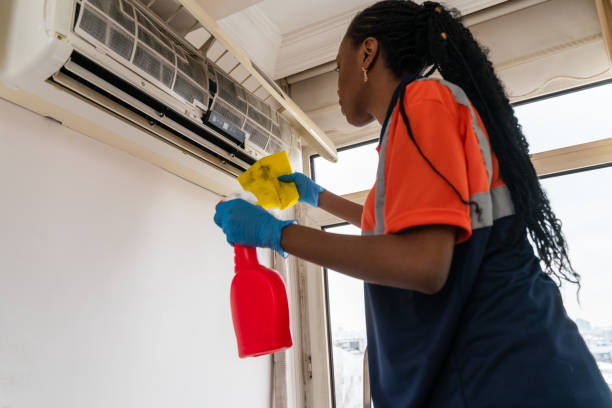istock black female  Cleaning Air Conditioning System 1464816272
