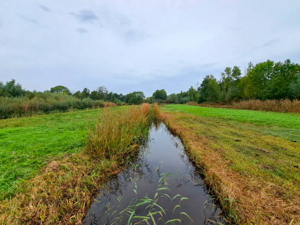 istock Fields of the botanic garden in Gouda 1464816408