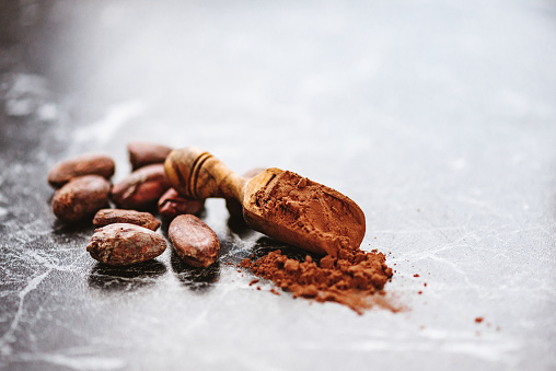 Hot Chocolate in a Mug - Cacao