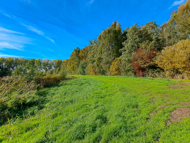istock Trees and leaves in autumn colour 1464817939