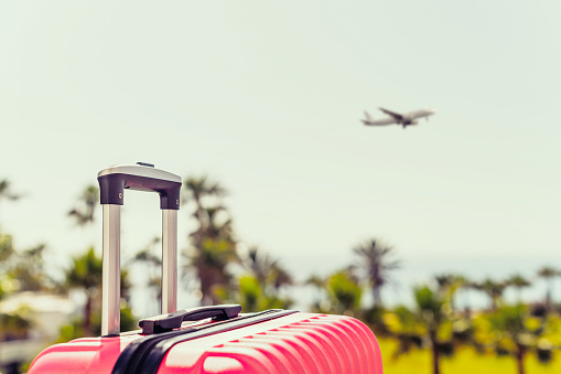 Pink passengers suitcase on ladder airplane opposite sea coastline with palm trees. Tourism concept