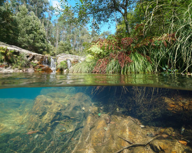 istock River bank vegetation with small waterfall over under water 1464819695