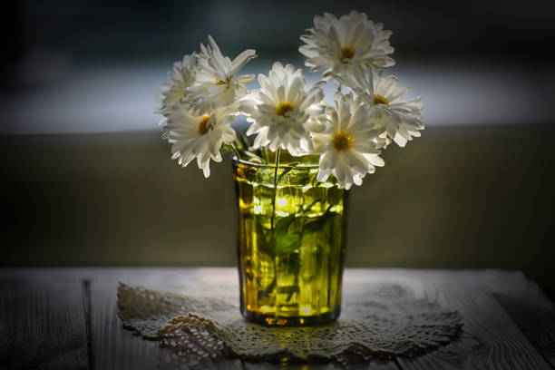 A close-up and very detailed photo of a chamomile flower