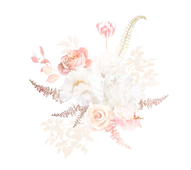 ilustrações, clipart, desenhos animados e ícones de ouro, rosa blush, bege, rosa branca, peônia, tulipa vermelha, magnólia, flor de hortênsia, grama dos pampas, samambaia, folhas secas - sweet magnolia florida flower magnolia