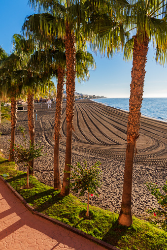 Rincon de la Victoria beach in Malaga, after having passed the cleaning machine through its sands.With palm trees along the promenade in the foreground.