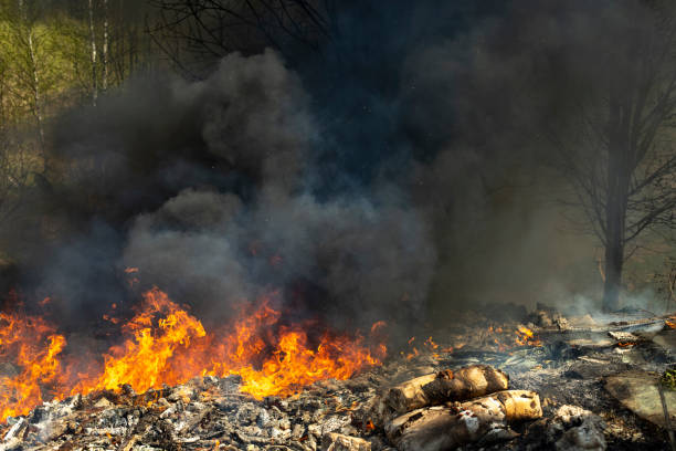 istock Fire in landfill. Fire and smoke. Burning garbage. 1464836629