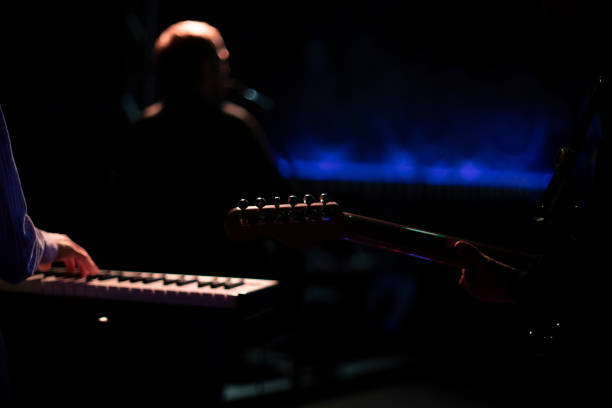 Musicians on stage. Music performance. Playing guitar. Performance in bar.