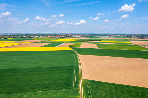 Aerial view of rural landscape with yellow and green patchwork  fields in spring.