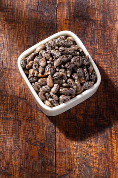 istock Castor grains and oil on the table, close-up image 1464843281