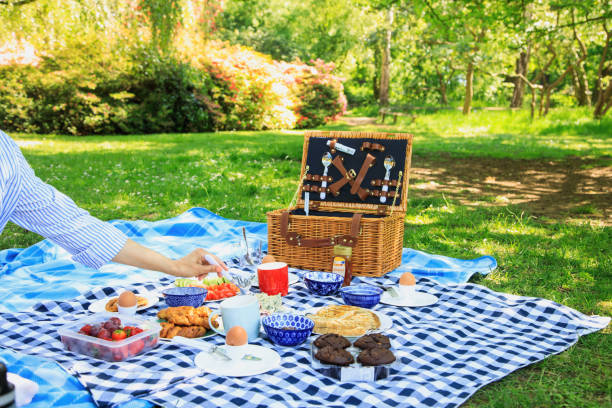 l’heure du pique-dans le parc! - multi colored picnic dinner lunch photos et images de collection