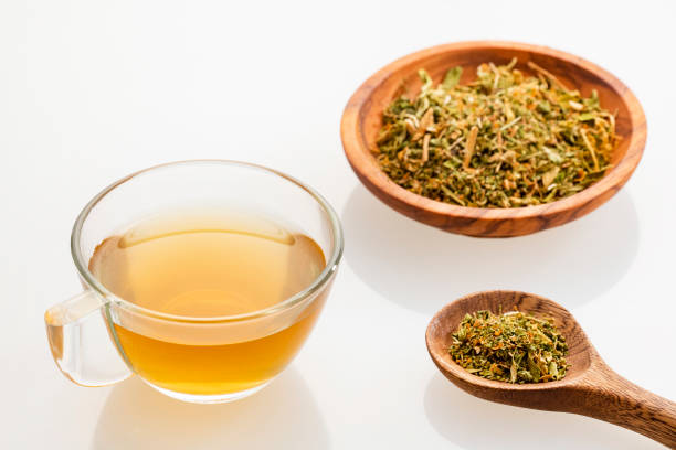 istock Medicinal paicol hot drink - Dysphania ambrosioides. Infusion 1464849654