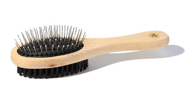 istock Wooden brush for animals on a white isolated background 1464850265