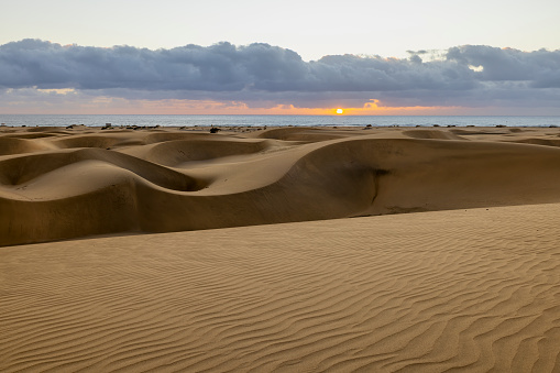 Maspalomas Dunes before the sunset. Landscape photo of beautiful desert and ocean.