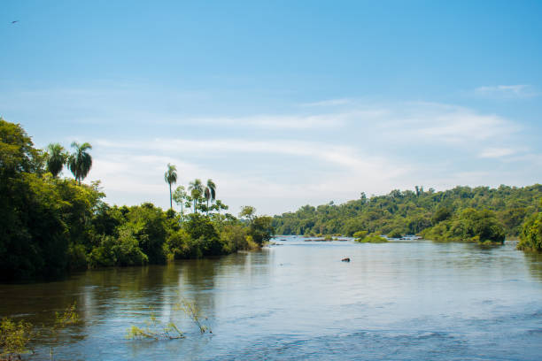 istock calm river Iguazu falls national park Argentina 1464860419