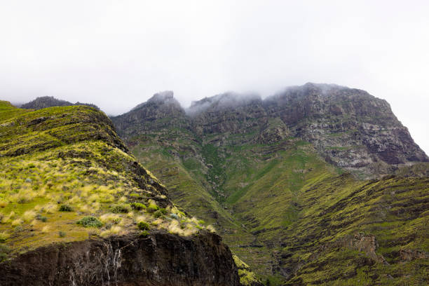 istock Reaching for the Clouds: The Majestic Mountain 1464860617