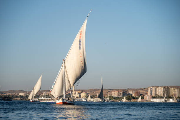 istock Felucca Sailboats on the Nile River 1464871951