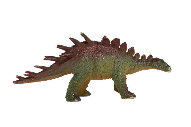 istock A worn plastic kentrosaurus isolated on a white background. Toy dinosaur. 1464883918