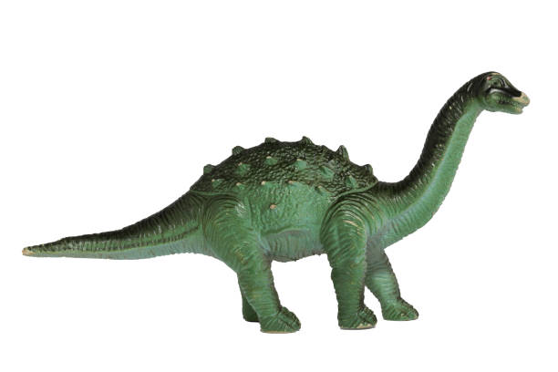 un jouet de dinosaure diplodocus en plastique usé isolé sur un fond blanc. - dinosaur toy dino monster photos et images de collection