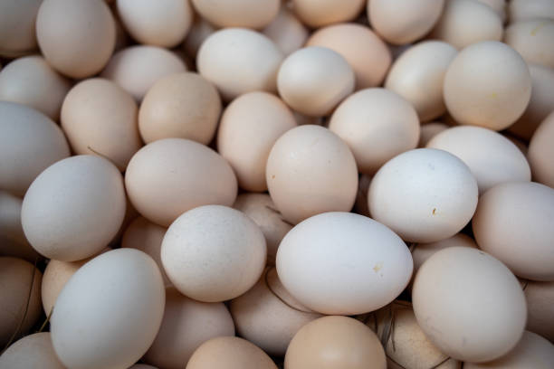 istock Close up of eggs in market 1464887641