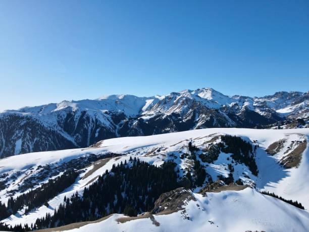 istock Snowy mountains and forest in winter 1464897485