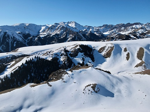 Under the clear blue sky in winter, the mountains and forest of Xinjiang, China, are covered with snow.