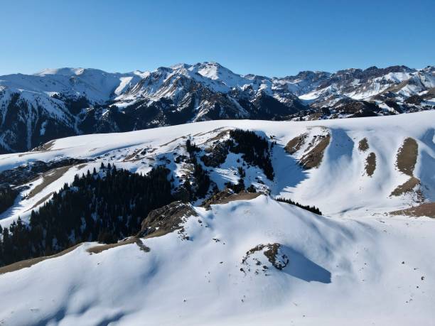 Snowy mountains and forest in winter Under the clear blue sky in winter, the mountains and forest of Xinjiang, China, are covered with snow. snowfield stock pictures, royalty-free photos & images