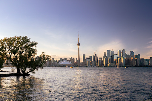 This 6 August 2022 sunset photo shows the downtown skyline of Toronto, Ontario, Canada. Numerous construction cranes are seen along the cityscape. Sunlight reflects off the CN Tower. Various boats are seen sailing the inner harbour. This photo was taken from Centre Island in the Toronto Islands of Lake Ontario.