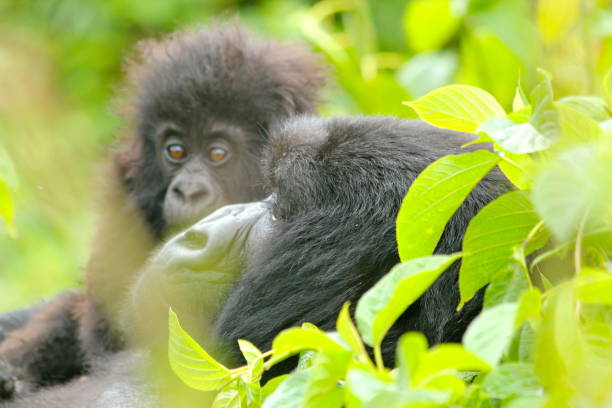 istock Mom and baby 1464900284